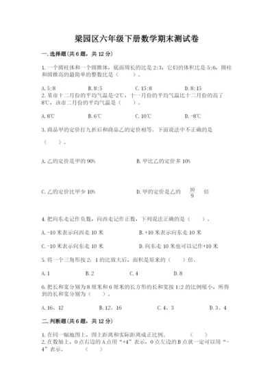 梁园区六年级下册数学期末测试卷精品.docx