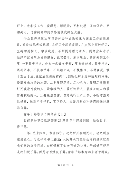 关于青年干部培训心得体会6篇.docx