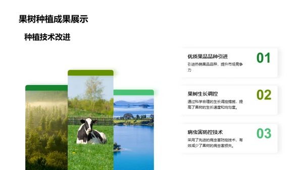 20XX年林业盘点与展望
