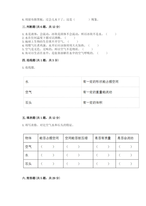 教科版小学三年级上册科学期末测试卷（考点梳理）.docx