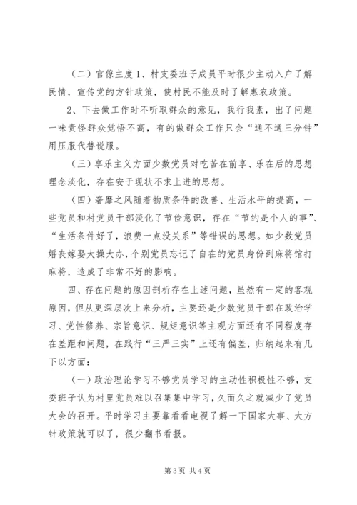 村党总支对照检查材料 (3).docx