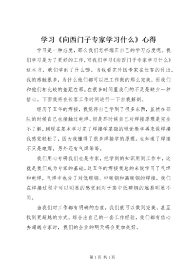 学习《向西门子专家学习什么》心得.docx