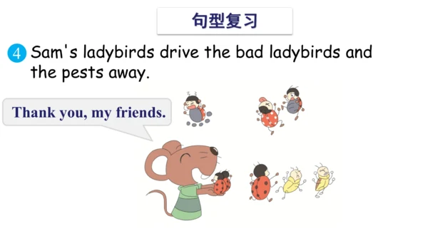 Unit 6 In the kitchen 复习课件(共 46张PPT) -2023-2024学年五