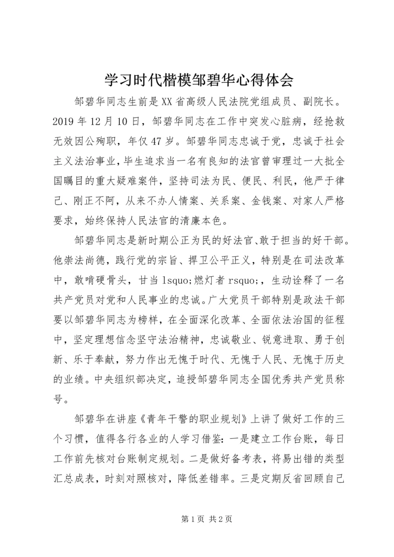 学习时代楷模邹碧华心得体会.docx