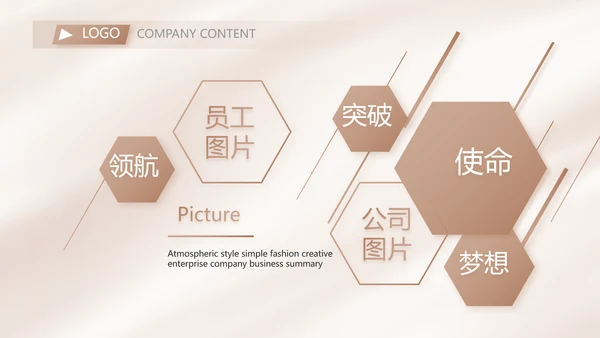 大气医美微整形宣传工作总结PPT