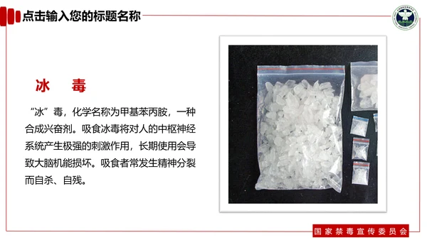 青少年预防不良行为禁毒教育PPT课件
