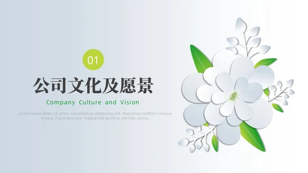 小清新创业项目计划书PPT模板商业计划书