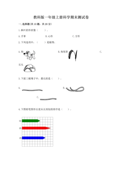 教科版一年级上册科学期末测试卷及参考答案（巩固）.docx