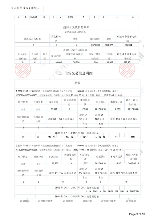 详细版征信报告模板含水印可编辑