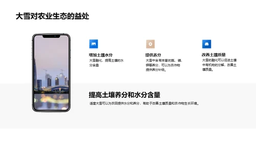 大雪对农业的影响与应对