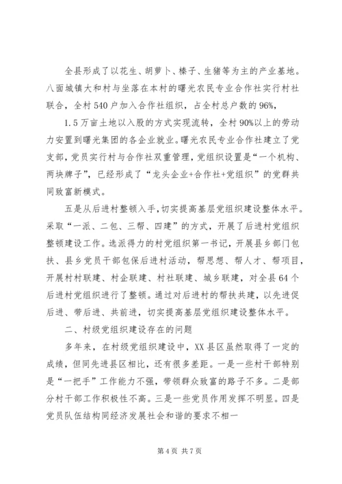 昌图=调研报告加强村级党组织建设的实践与思考5篇.docx