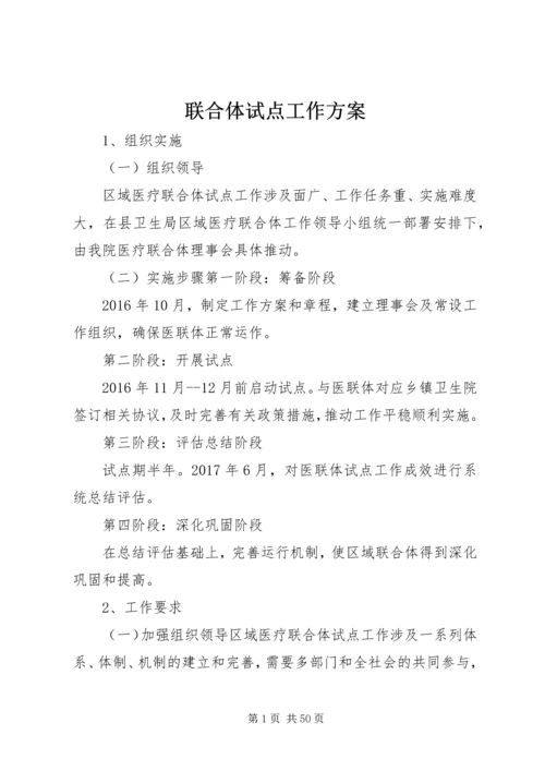 联合体试点工作方案.docx