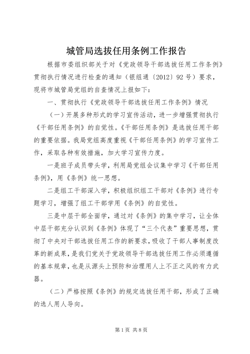 城管局选拔任用条例工作报告.docx