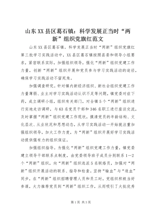 山东XX县区葛石镇：科学发展正当时“两新”组织党旗红范文.docx