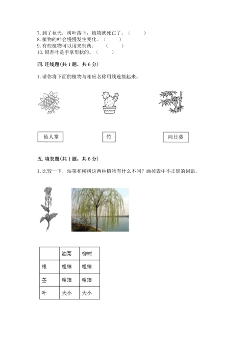 教科版一年级上册科学期末测试卷附解析答案.docx