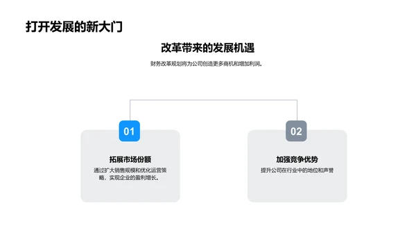 财务改革季度报告