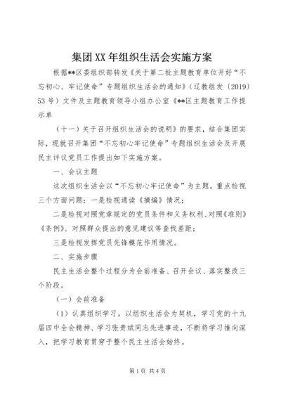 集团XX年组织生活会实施方案.docx