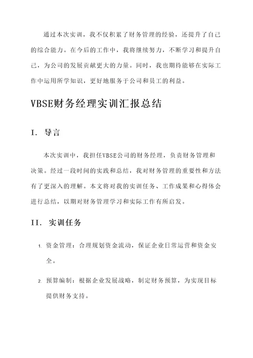 vbse财务经理实训汇报总结