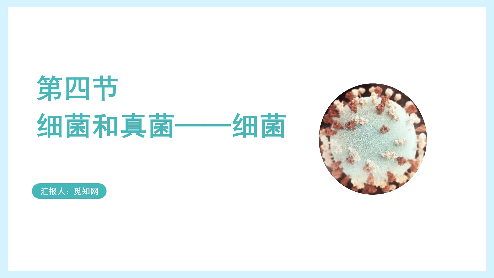 浅蓝色细菌研究教学PPT细菌ppt