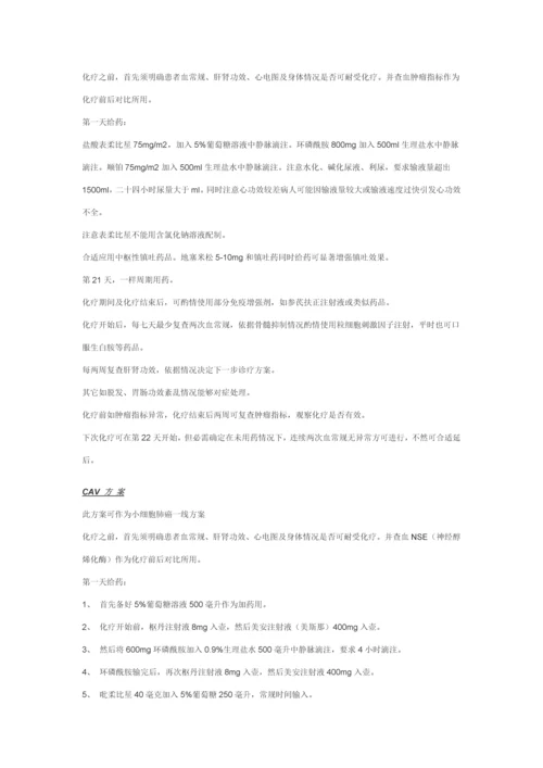 常用化疗药专项方案.docx