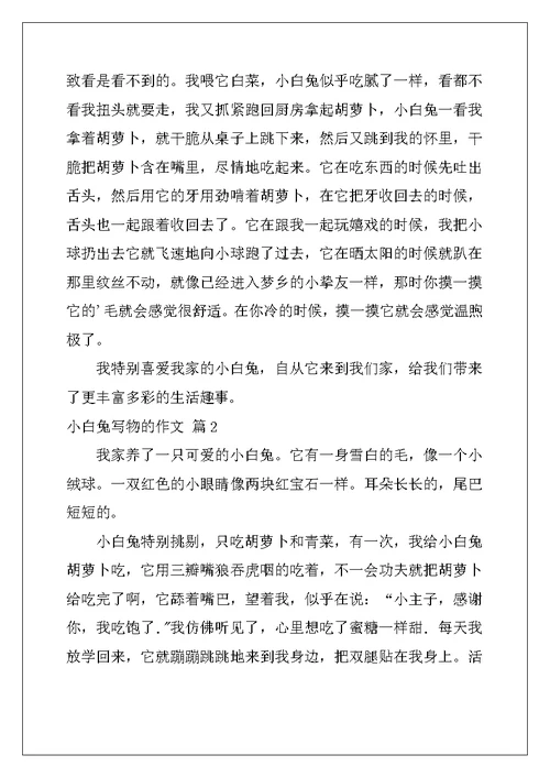 2022年小白兔写物的作文合集6篇