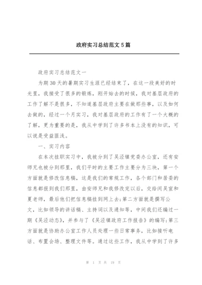 政府实习总结范文5篇.docx