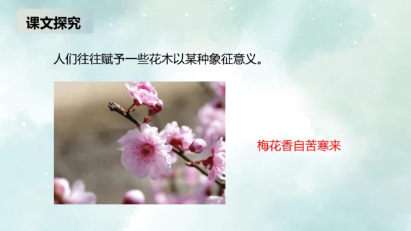 第18课 紫藤萝瀑布 课件(共27张PPT)