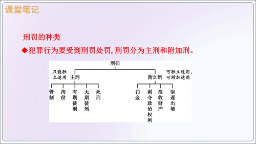 【新课标】5.2预防犯罪【2024秋八上道法精彩课堂（课件）(共23张PPT)】