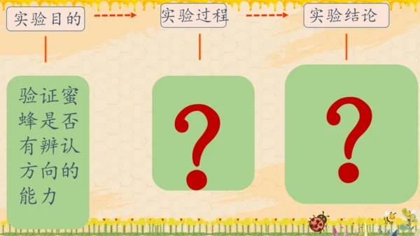 14《蜜蜂》课件