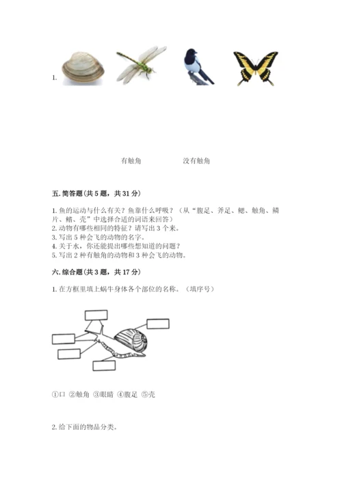 教科版一年级下册科学期末测试卷（基础题）.docx