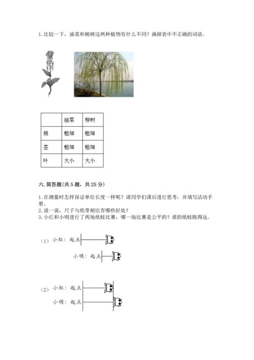 教科版一年级上册科学期末测试卷【综合题】.docx