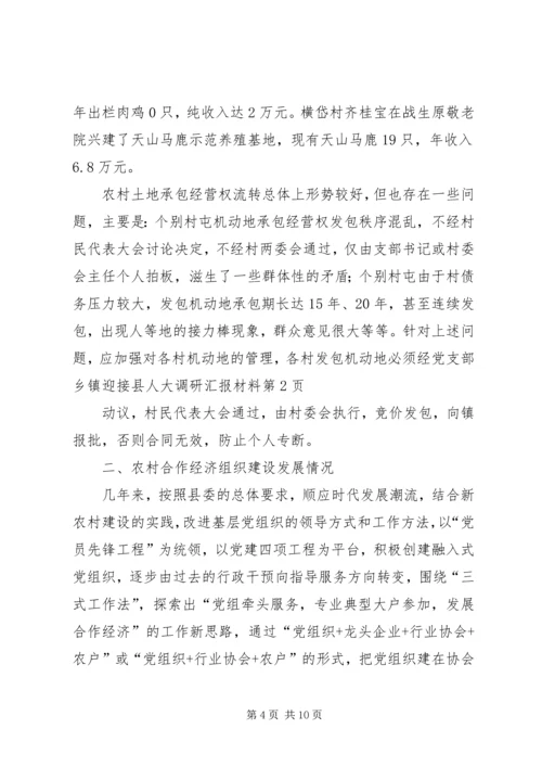 乡镇迎接县人大调研汇报材料.docx