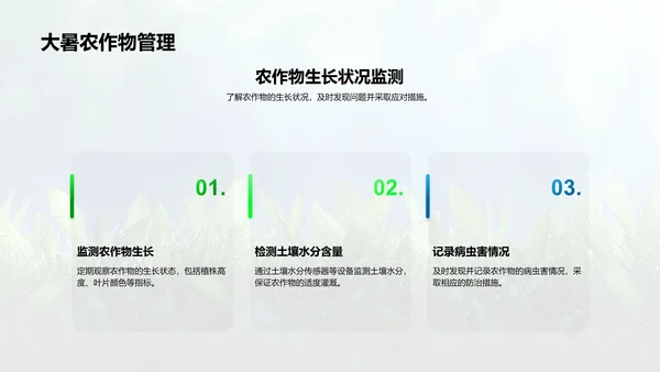大暑农作物科学应对PPT模板