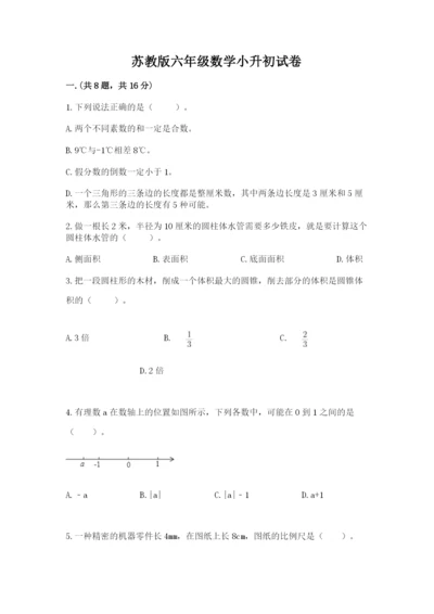 苏教版六年级数学小升初试卷精品（精选题）.docx