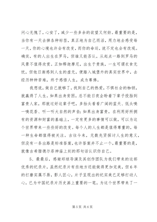 郑琼出路纪录片观后感.docx