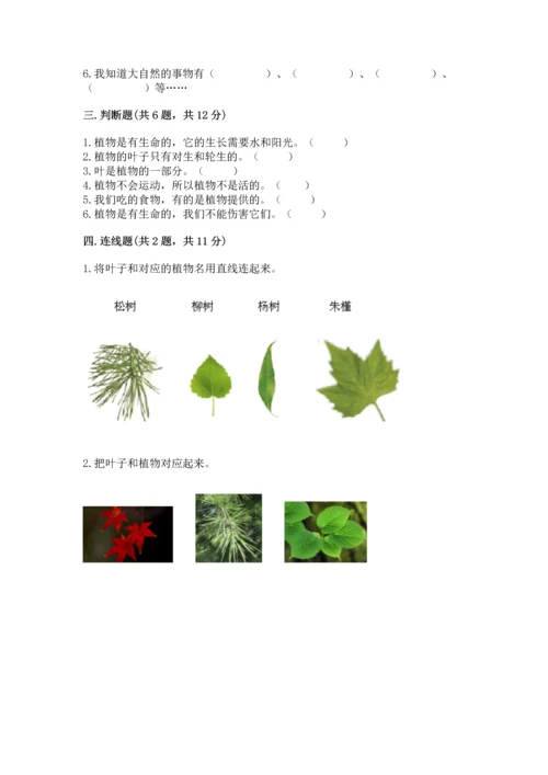 教科版科学一年级上册第一单元《植物》测试卷【a卷】.docx