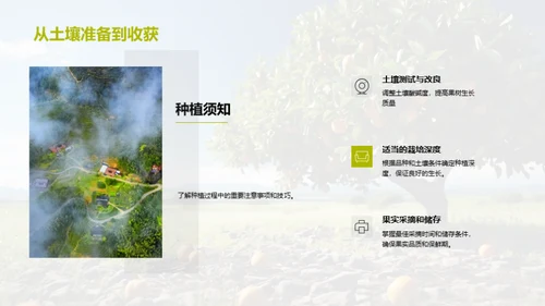 高效果园：种植与增益指南