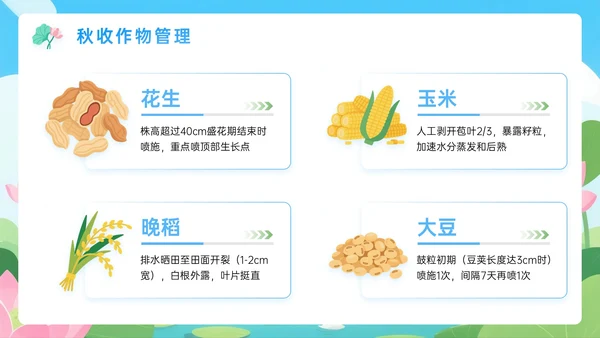 蓝绿色插画处暑节气PPT模板