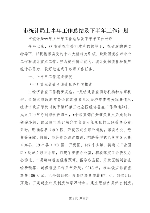 市统计局上半年工作总结及下半年工作计划 (3).docx