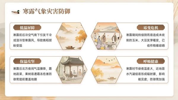 棕色系中国风寒露节气知识PPT模板