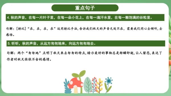 统编版2024三年级语文上册第二单元复习   课件