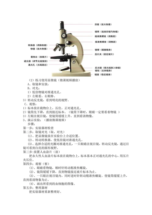 用显微镜观察人血的永久涂片