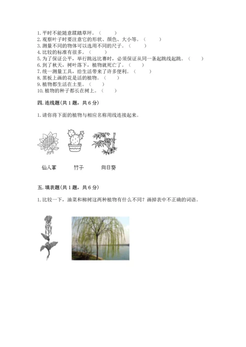 教科版小学一年级上册科学期末测试卷含答案【夺分金卷】.docx