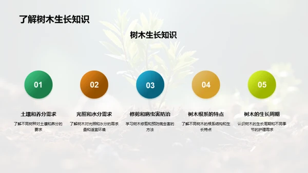 亲子植树 共护环境