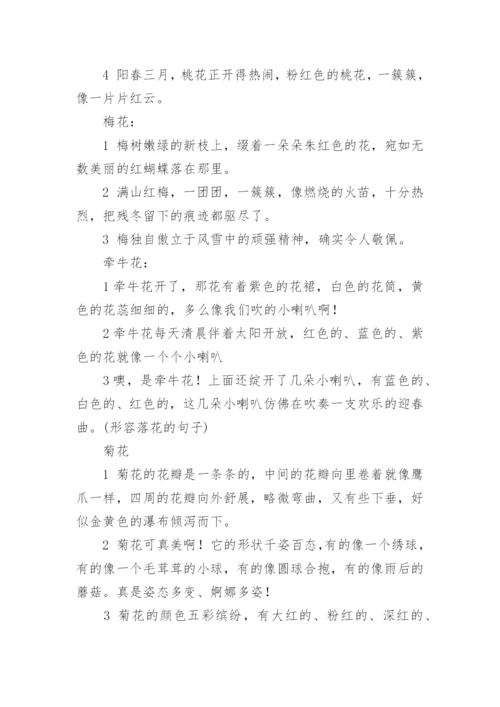 形容各种花的句子与词语.docx