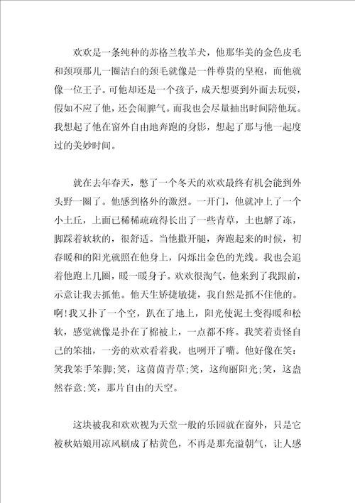 窗户的阳光叙事作文