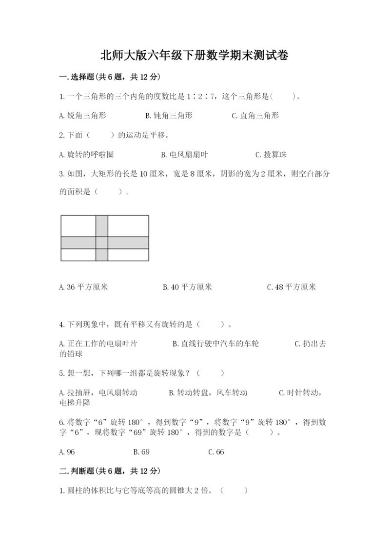 北师大版六年级下册数学期末测试卷【夺冠系列】.docx