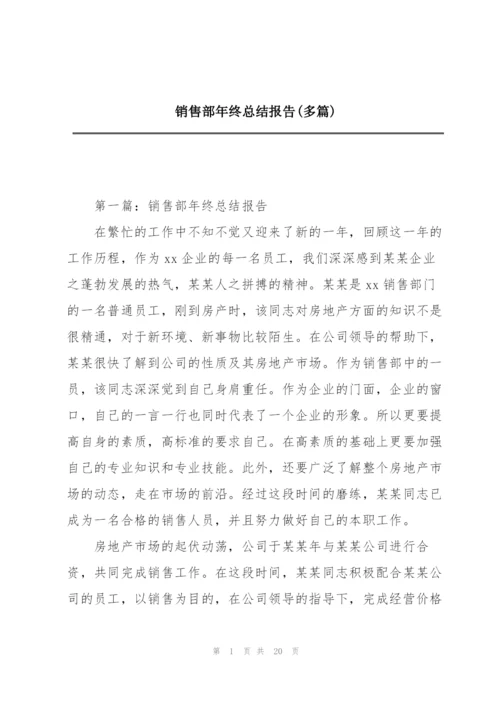 销售部年终总结报告(多篇).docx