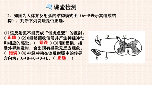 4.6.3神经调节的基本方式（课件）-七年级生物下册备课无忧（人教版）(共17张PPT)