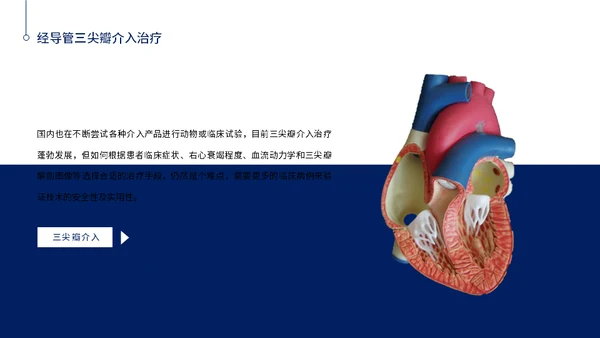 心脏瓣膜病介入治疗通用PPT模板